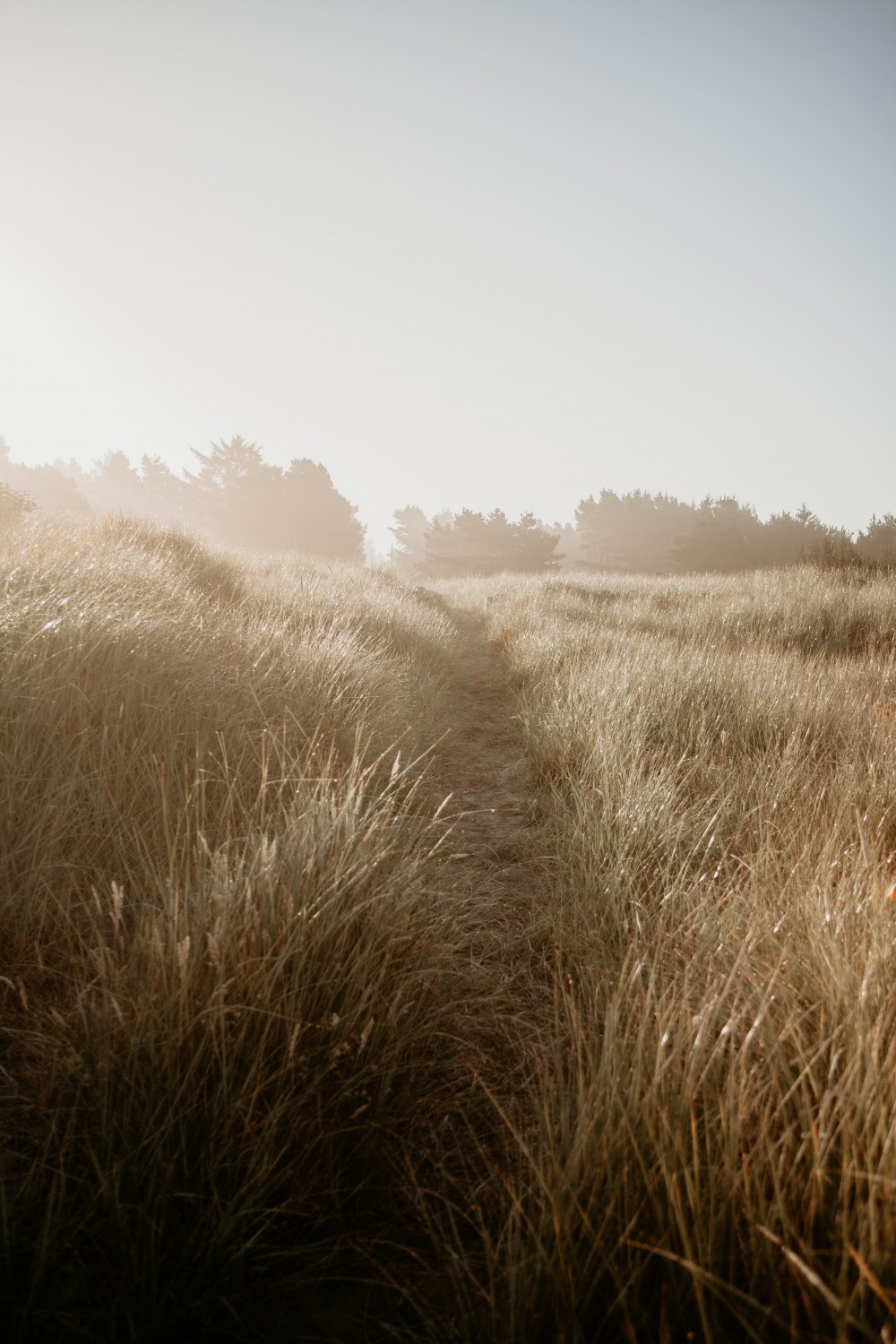 4 совета, как расслабиться перед экзаменом или собеседованием