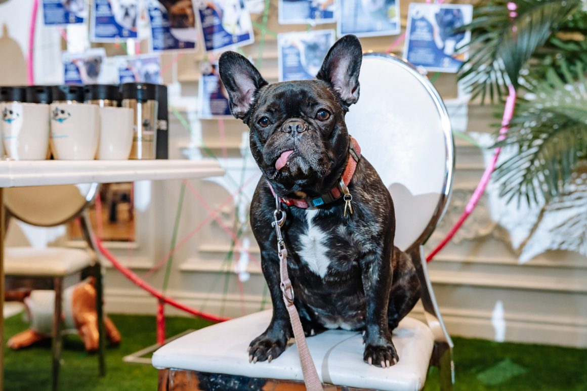 Итоги II Lifestyle Expo (Экспо Стиль Жизни) — самой масштабной выставки премиальных услуг и главной конференции для ассистентов